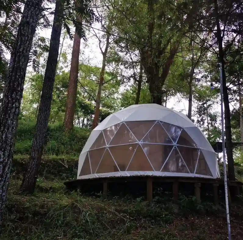 Carpas y Domos DAMEGA Infraestructura y mobiliario premium para eventos masivos y corporativos con soluciones integrales de logística, climatización y montaje profesional